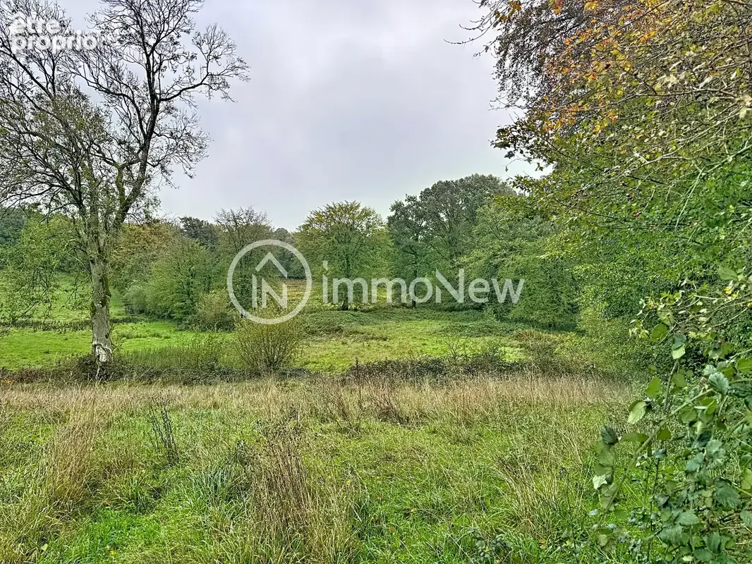 Maison a renover 70m2  sur terrain de 2 hectares environ avec ruisseau et puit - photo 13