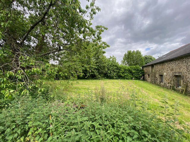 Ancien corps de ferme renover sur terrain de 3109 m2 - photo 4