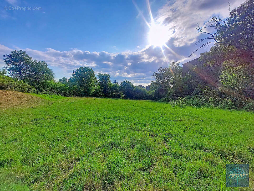 terrain constructible non viabilisé d'une surface de 1793m² - photo 4
