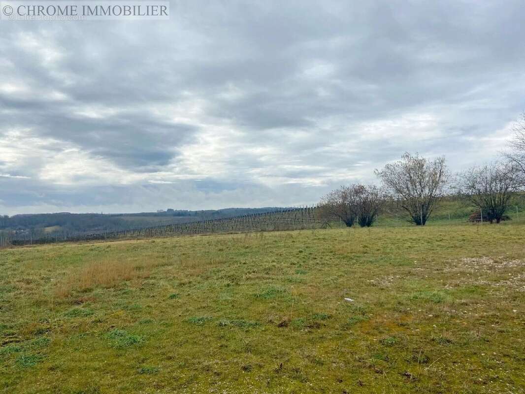 Terrain à PELLEGRUE