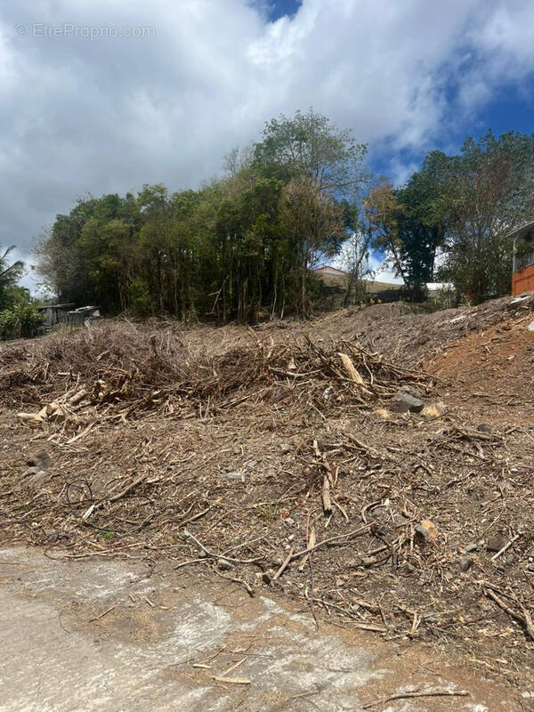 Terrain à RIVIERE-SALEE