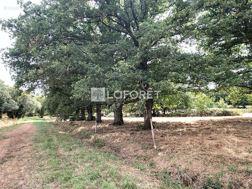 Maison à MAURE-DE-BRETAGNE