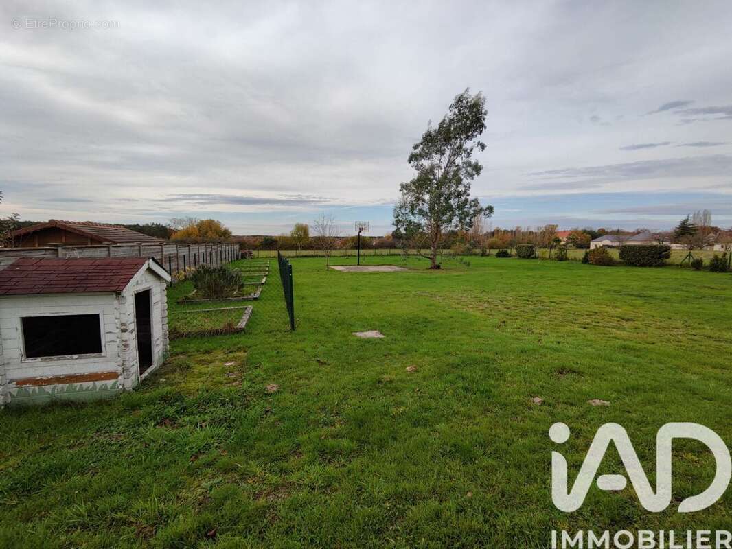 Photo 4 - Maison à CHANTEAU