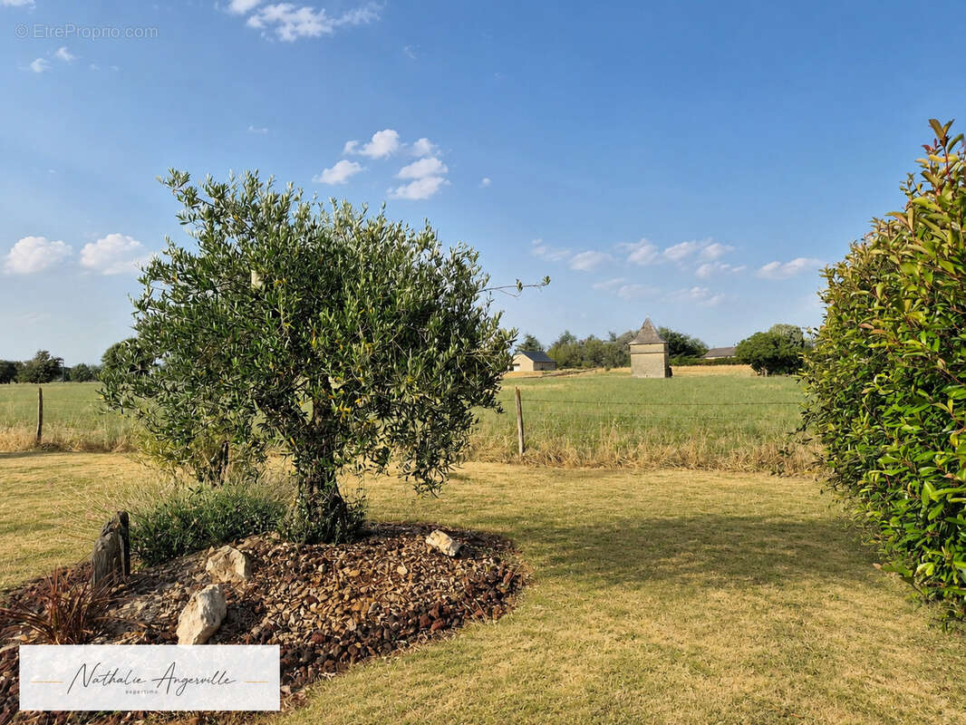 Nuces   Maison contemporaine 144 m2 de plain-pied avec piscine - photo 15