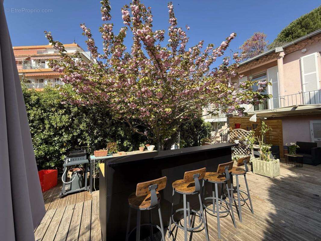 Nice Cimiez : Propriété de 435m² comprenant 6 appartements - photo 14
