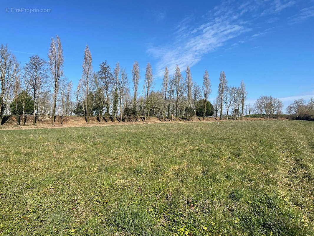Terrain à LA MOTHE-ACHARD