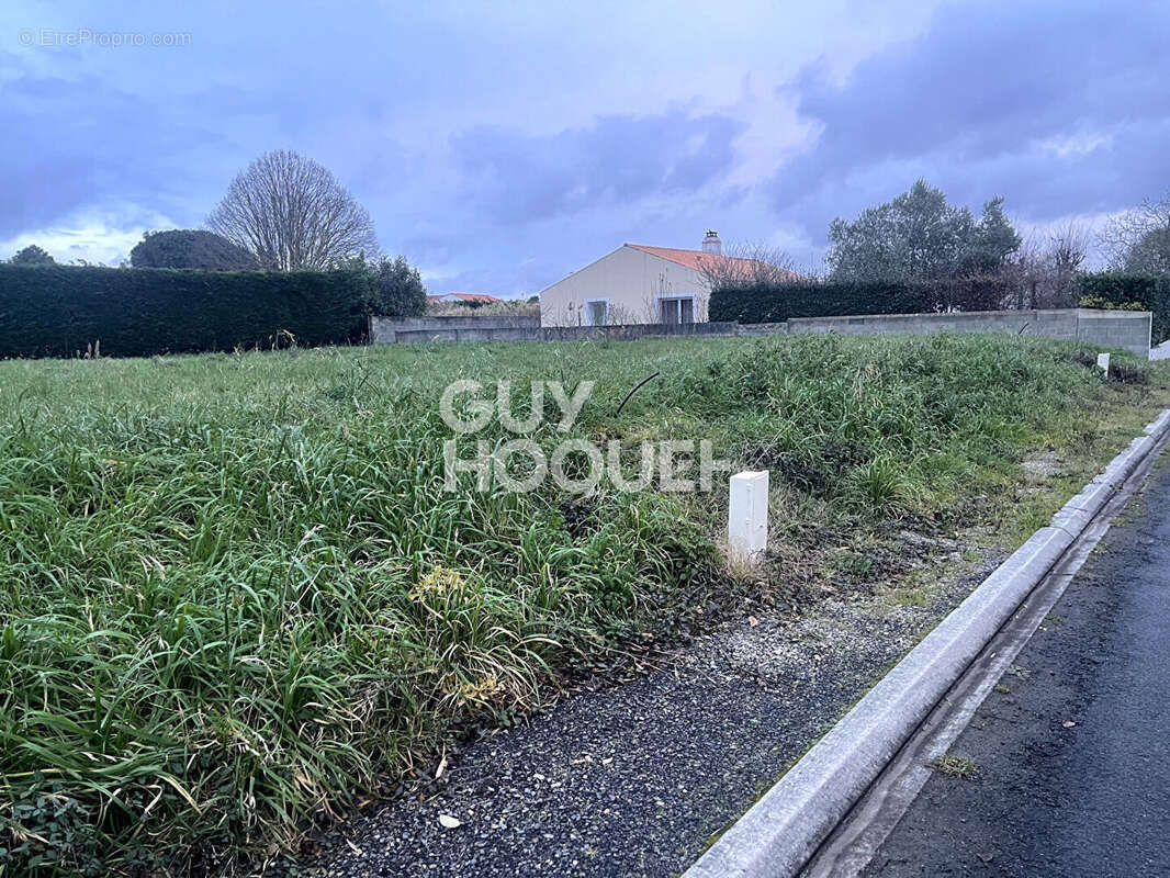 Terrain à COMMEQUIERS