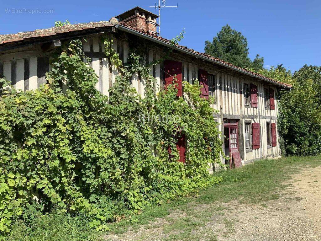 Maison à SABRES