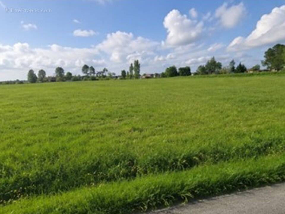 Terrain à LA LANDE-DE-FRONSAC
