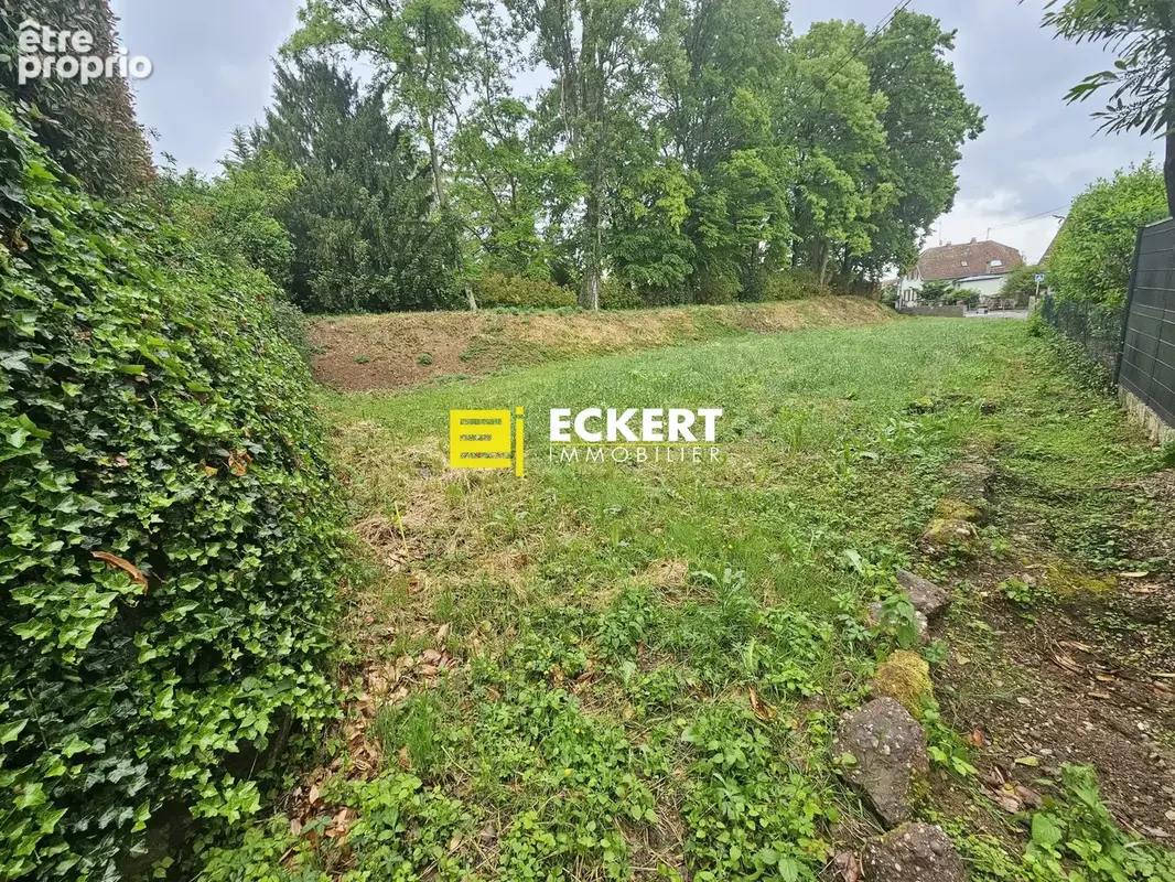 Terrain 728 m² à vendre à Molsheim (67120) - photo 3