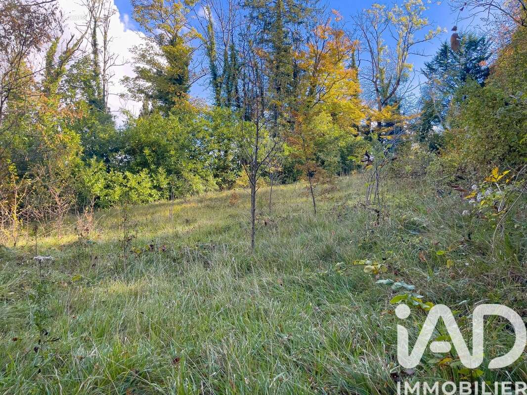 Photo 3 - Terrain à MAULE