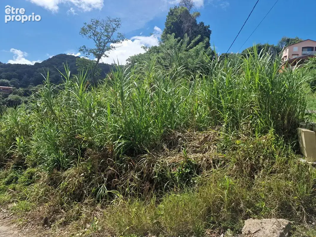 Terrain  585 m2 - photo 3
