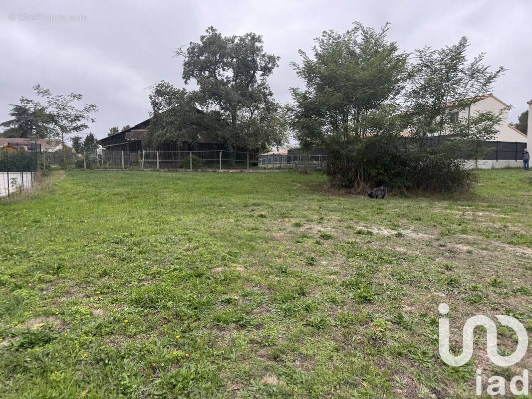 Photo 1 - Terrain à SAUCATS