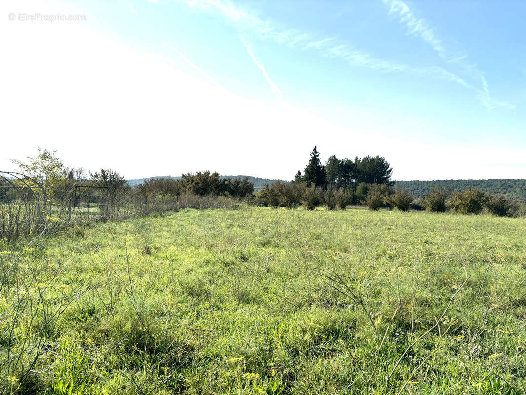 Terrain constructible de 4086 m2 viabilisé - photo 5