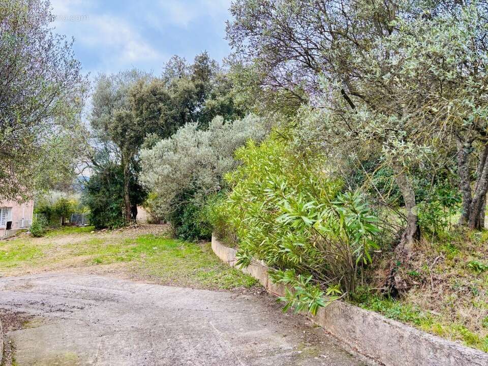 Terrain 700 m² à Pignans  - photo 2