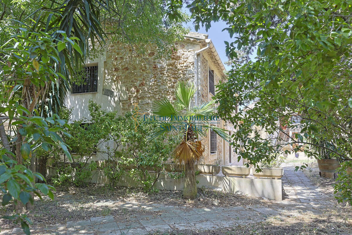 Maison à MONTPELLIER