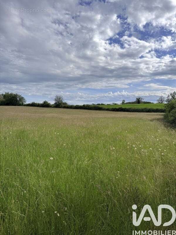 Photo 3 - Terrain à PARISOT
