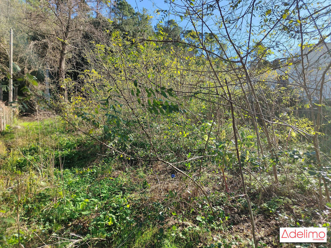 Terrain à CHAMBORIGAUD