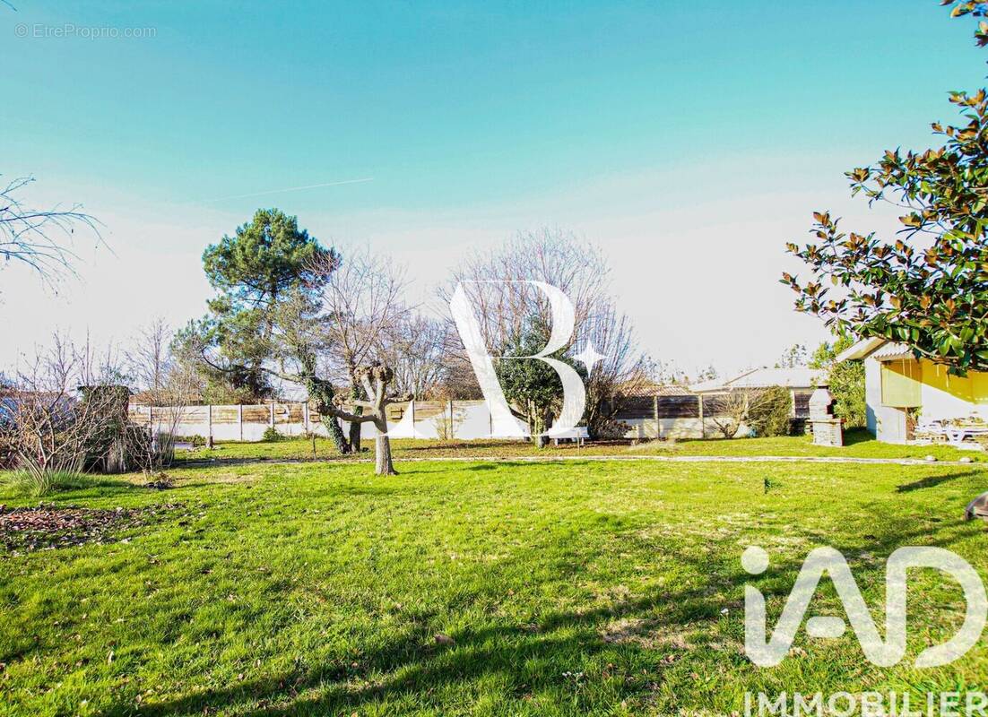 Photo 1 - Terrain à SAUCATS