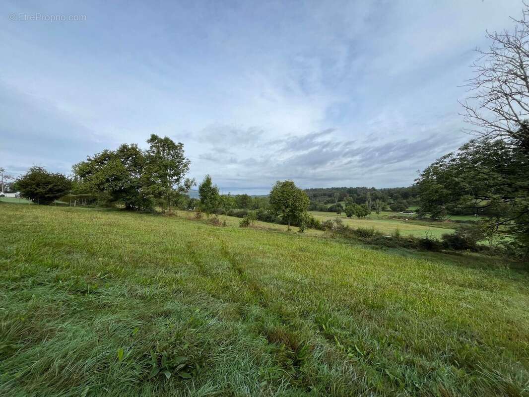 Terrain 6180 m² à Vebret  - photo 5