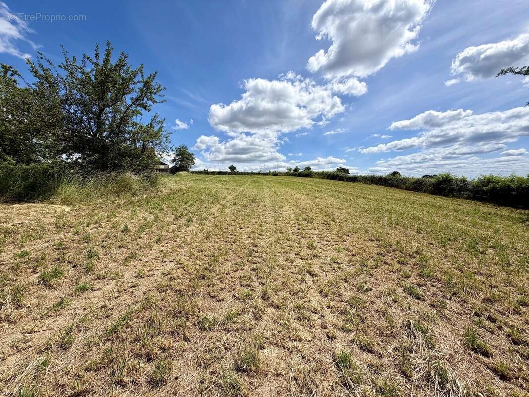 Grand ensemble, entièrement isolé avec 1,4 hectare à vendre près de Remilly - photo 61