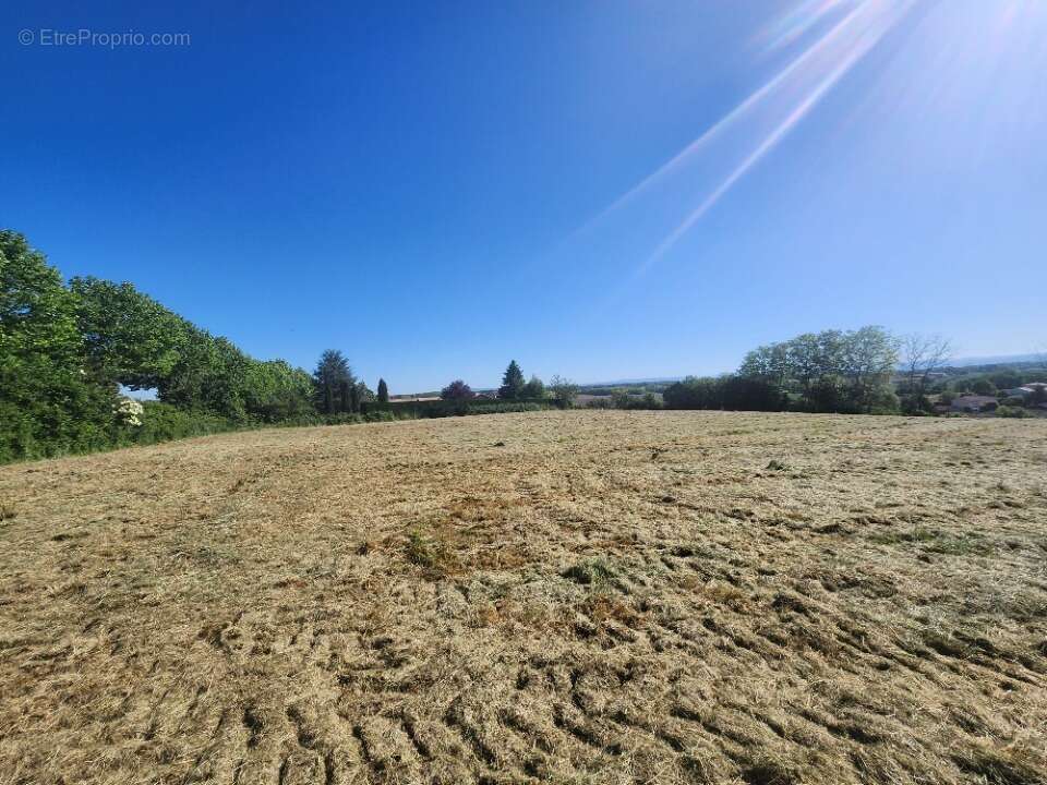 Terrain à CHALAMONT