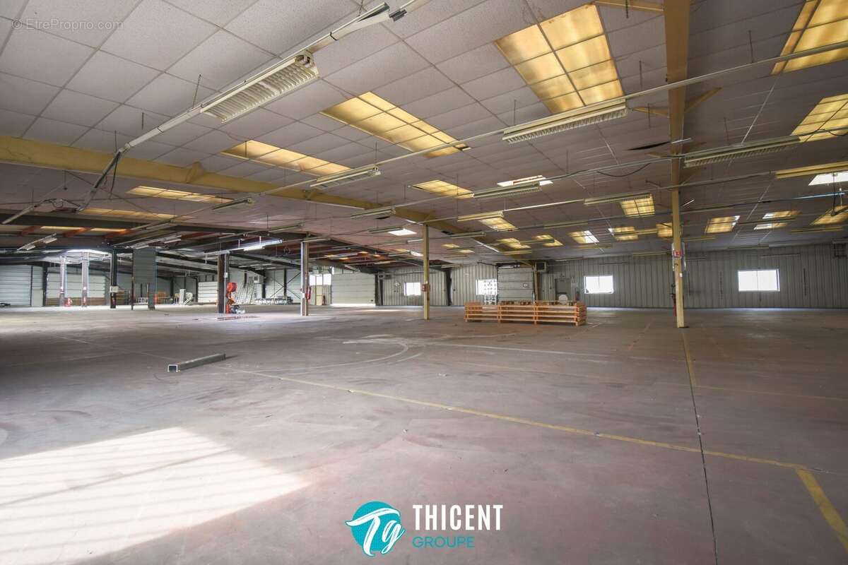 Commerce 3140 m² à Soufflenheim  - photo 3