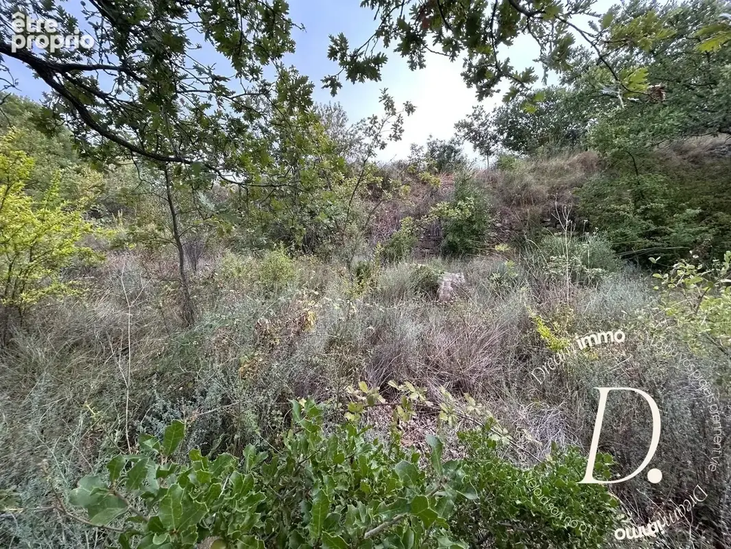 Terrain 5 939 m² à vendre à Murviel-Les-Beziers (34490) - photo 5