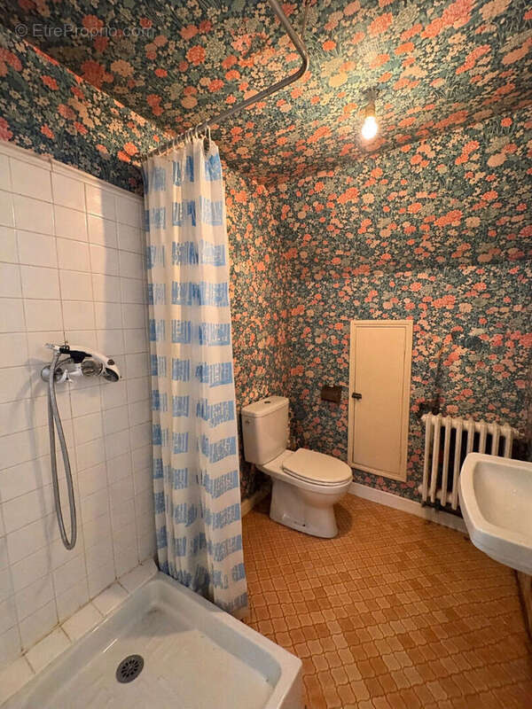 Maison 180m² à tocane-saint-apre - photo 13