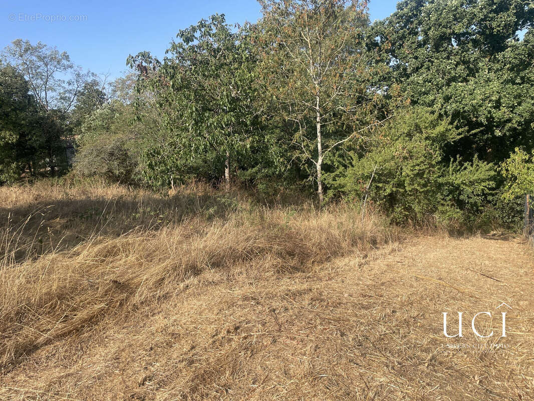 Terrain 881 m² à Corcoue-Sur-Logne  - photo 3