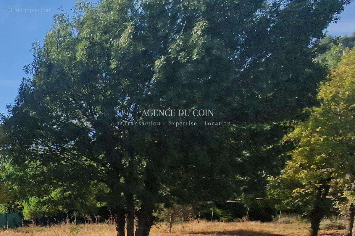 Exclusivité Vidauban 83550 division obtenu prêt au dépôt de - photo 4