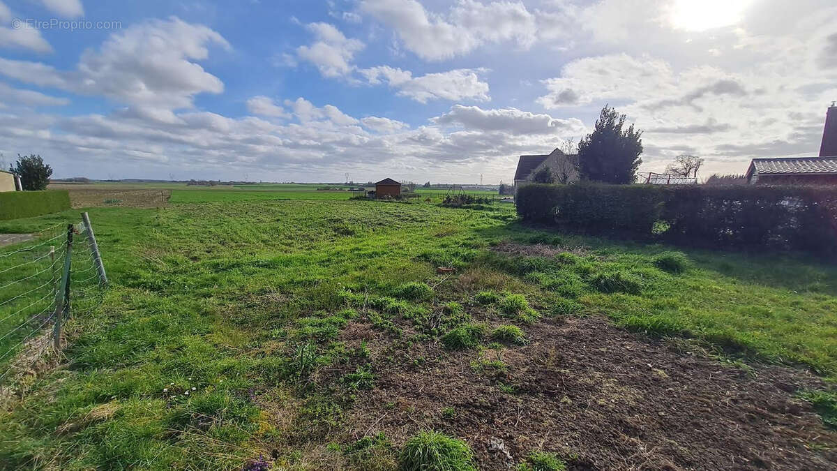 Terrain à BAVINCHOVE