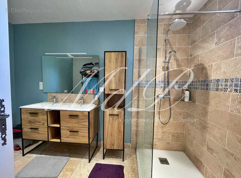 Maison à vendre 10 pièces bonneville et saint avit de f (24) - photo 30