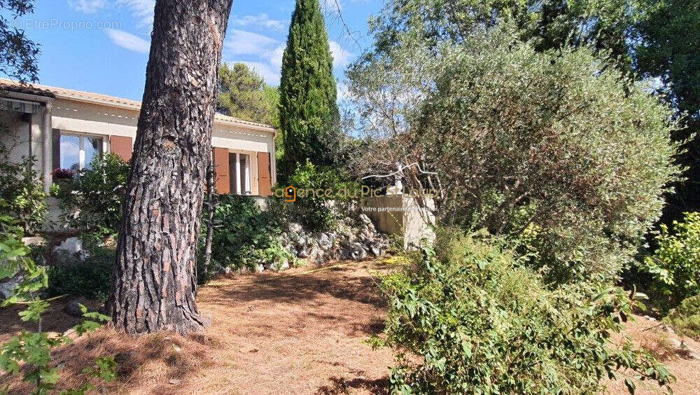 Maison à COMBAILLAUX