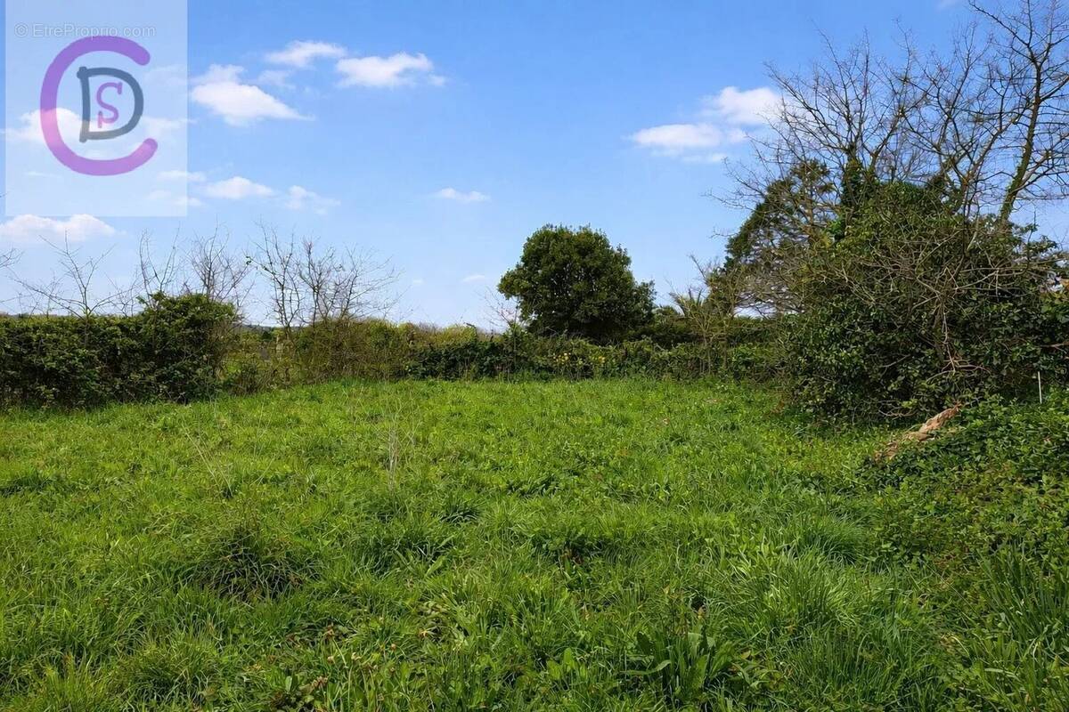 Terrain à NEVILLE-SUR-MER