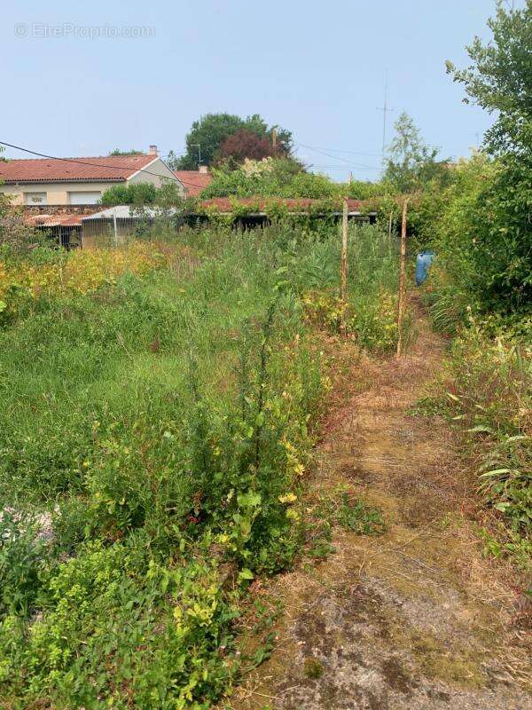 Maison à SAINT-MACAIRE-EN-MAUGES