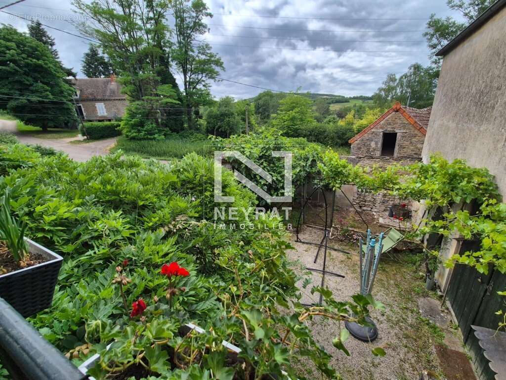 Proche santenay - photo 12