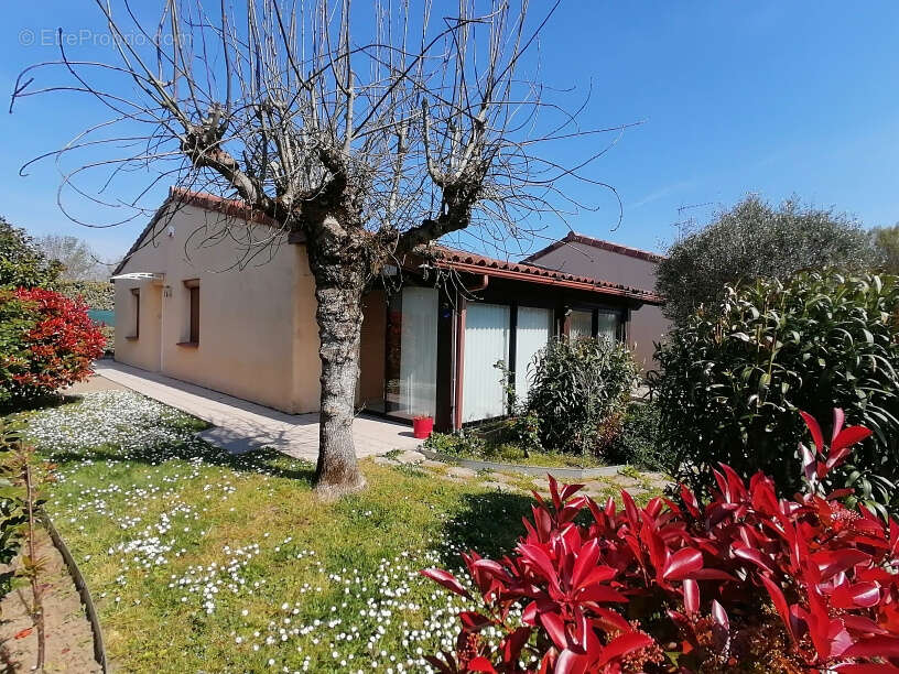 Maison à CASTELSARRASIN