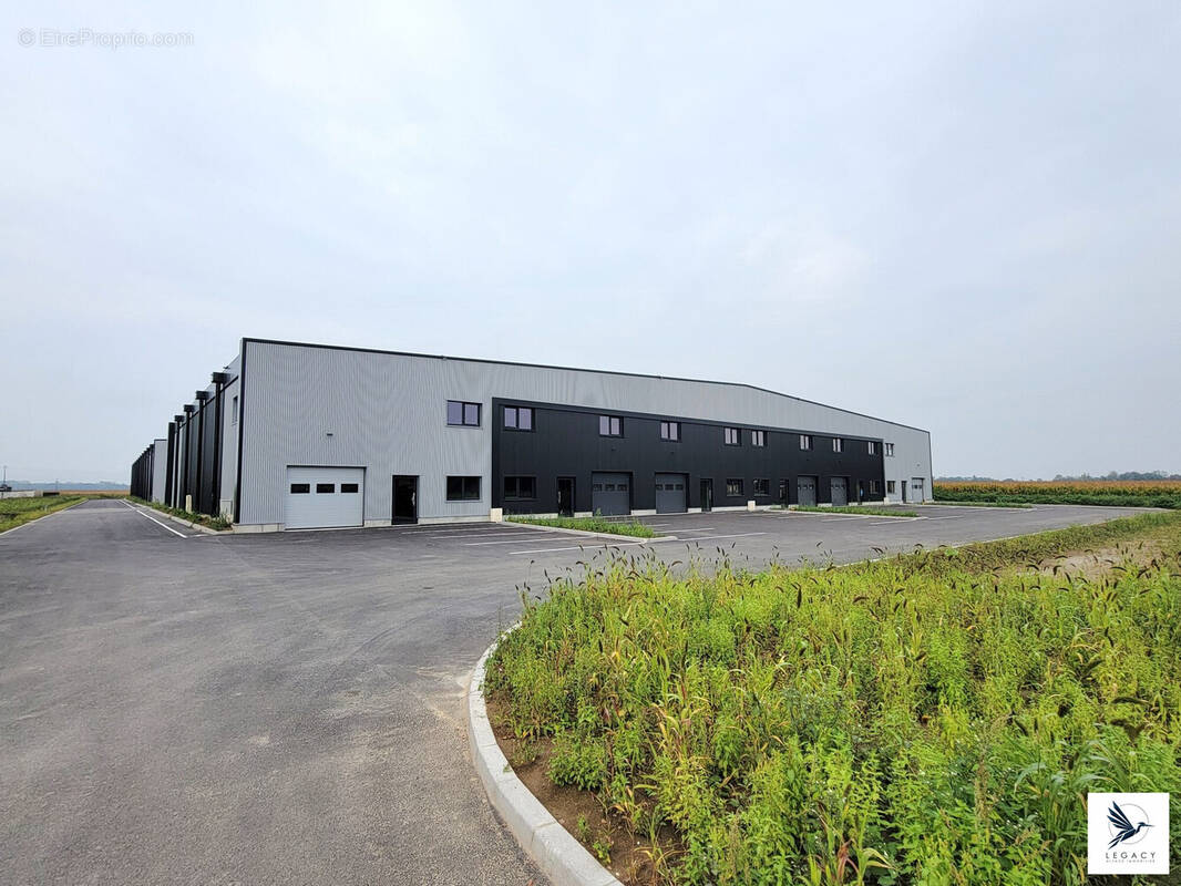 Commerce à FEGERSHEIM