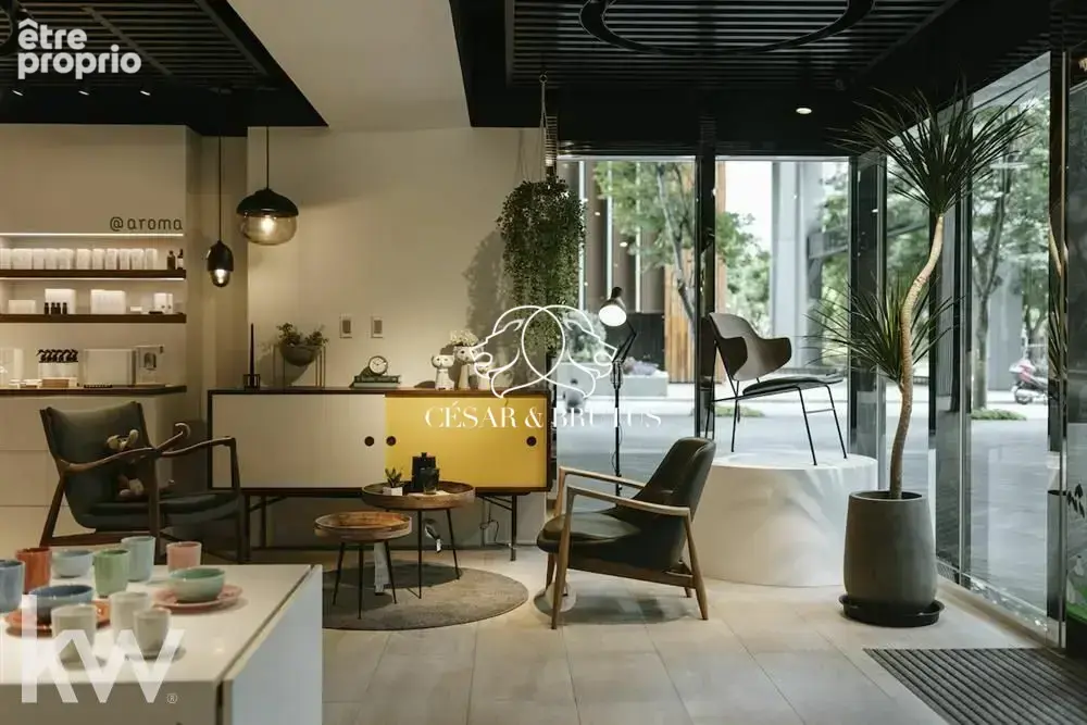 Commerce 290 m² à vendre à Lyon-7e (69007) - photo 2
