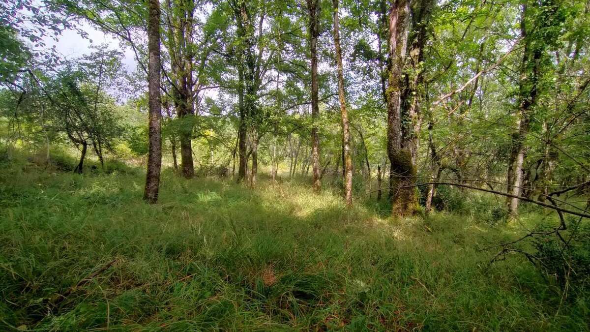 Photo 3 - Terrain à CAILLAC