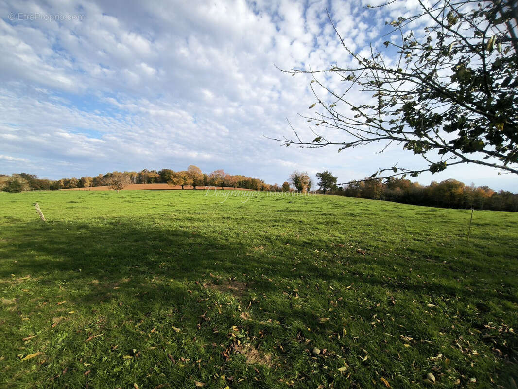 Maison à SAINT-MESMIN