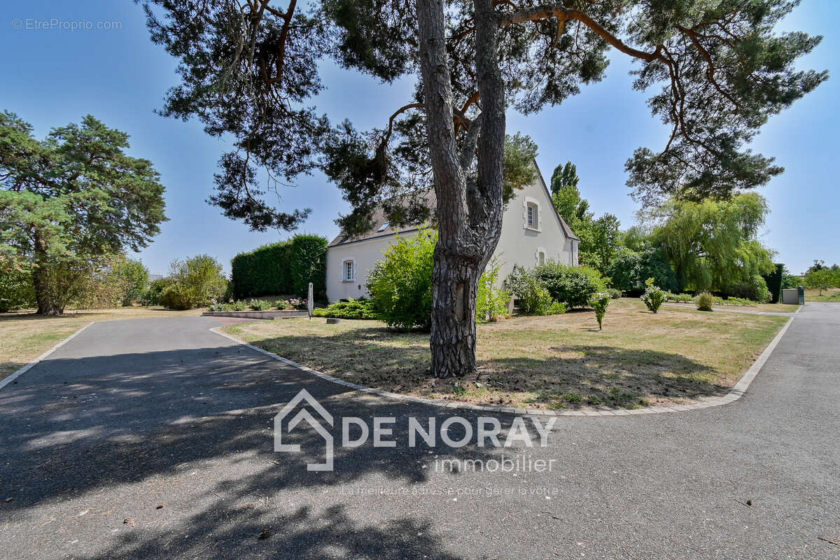 Maison à vendre 240m2 5 chambres piscine, terrain 5000m2 - photo 12