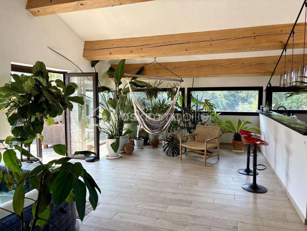 Entre Mer et Montagne, une Villa Unique au Cœur d’un Écrin d’Oliviers - photo 8
