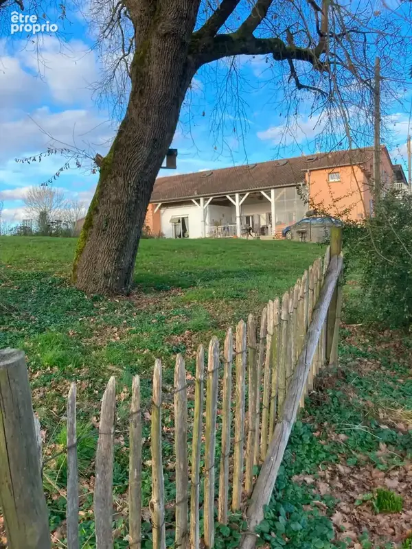 Maison 350 m² à Damazan  - photo 4