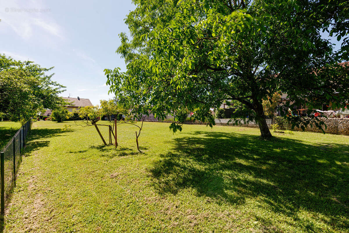 Maison Cranves Sales 4 pièces 86.18m² sur 1603m² de terrain - photo 4