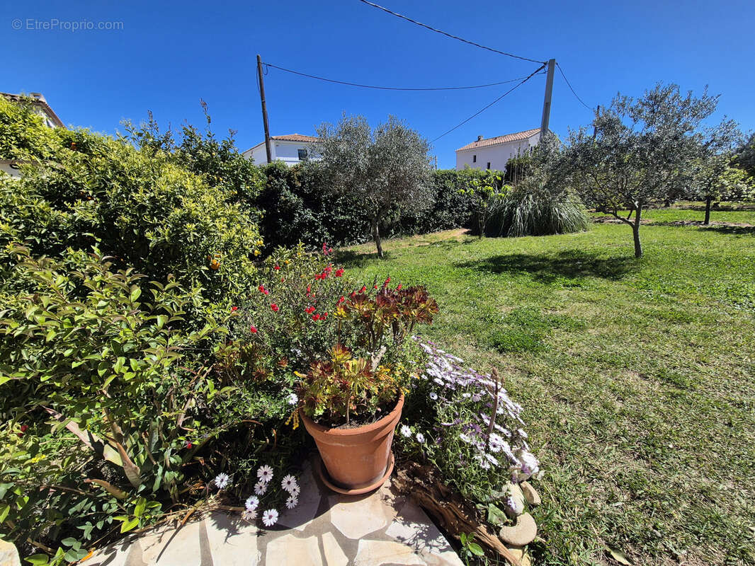 Maison à SOLLIES-PONT