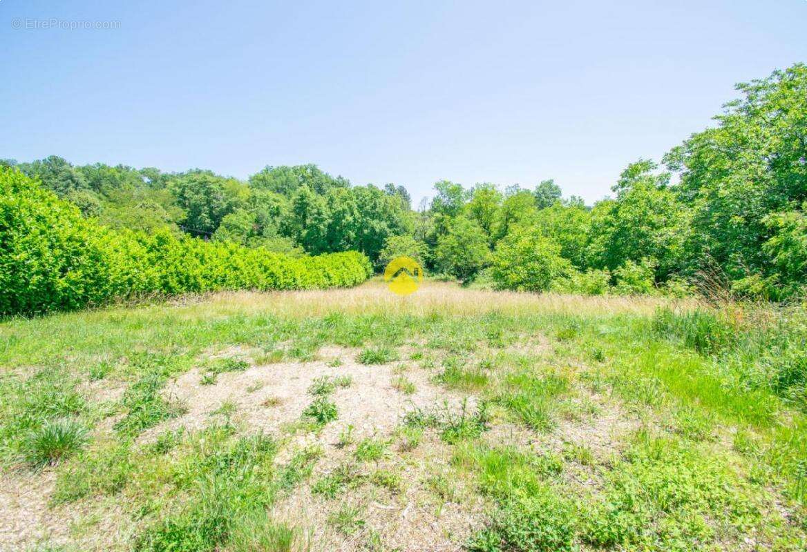 Terrain à SAINTE-ALVERE