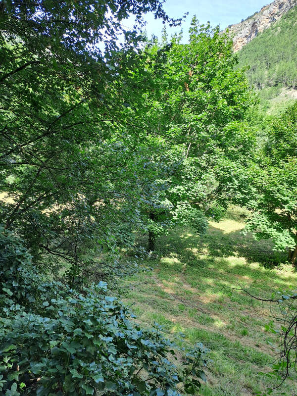 Terrain à REMUZAT
