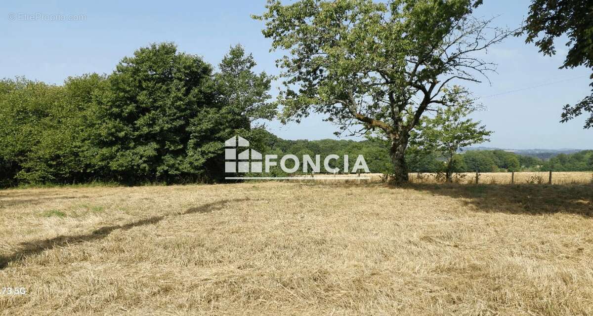 Terrain à SALON-LA-TOUR